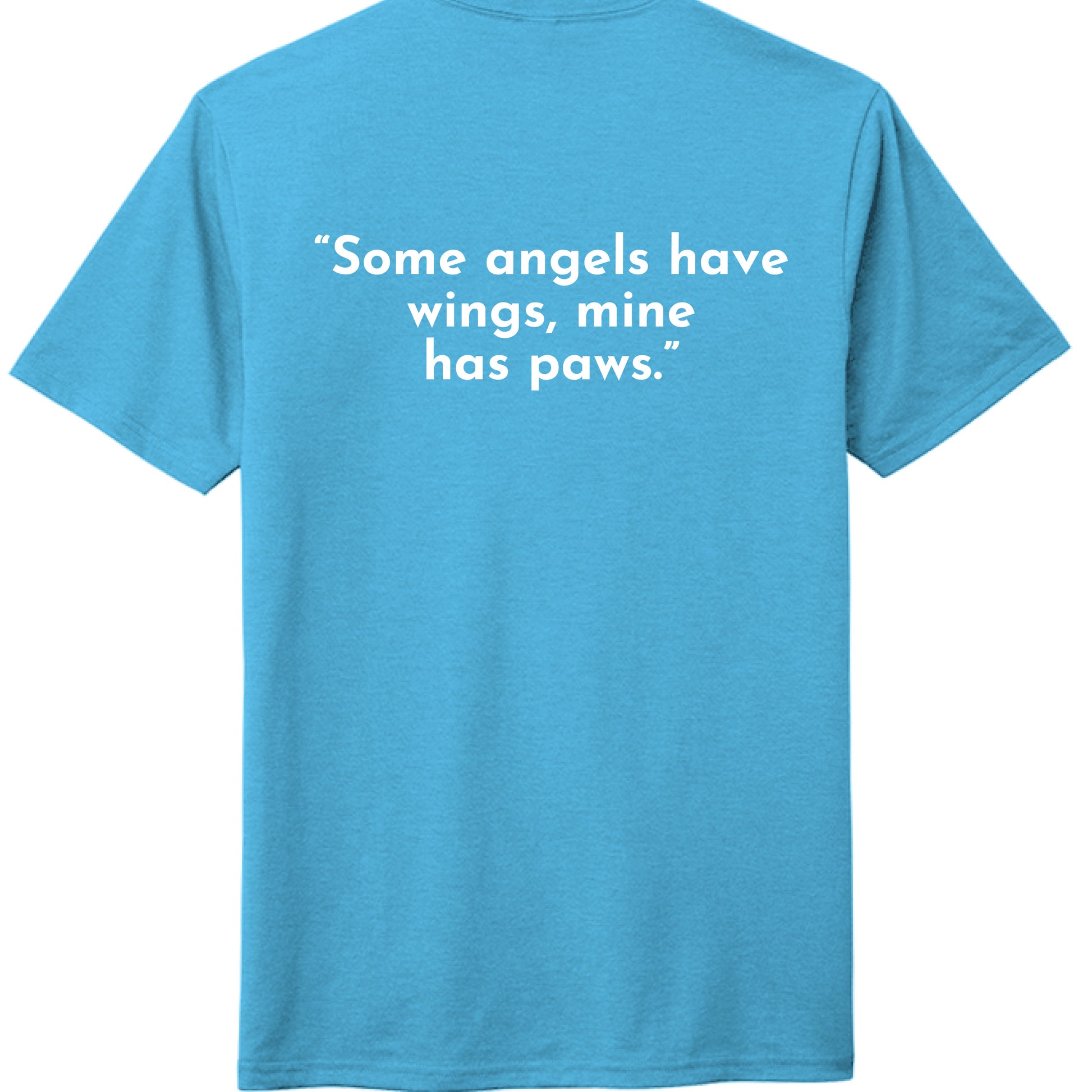 Turquoise Frst - BACK
